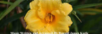 Forever and One Day - Ronald Karle Music Composer and Arranger