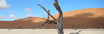 High Noon in the Desert Sun by: Ronald J. Karle - Ronald Karle Music Composer and Arranger