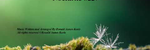 Nocturne #227 for Violin and Piano - Ronald Karle Music Composer and Arranger