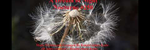A Dream of Night Piano and Violin - Ronald Karle Music Composer and Arranger (Nocturne #250 - A Dream of Night)