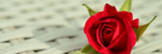 When all is Gone, The story - Ronald Karle Music Composer and Arranger